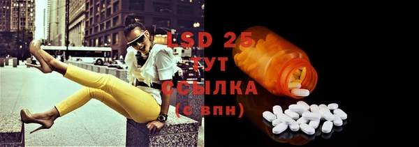 индика Верея