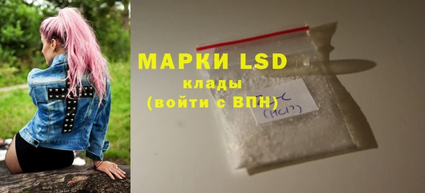 индика Верея