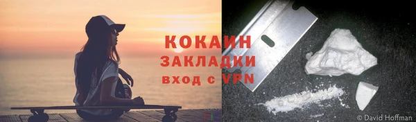 индика Верея