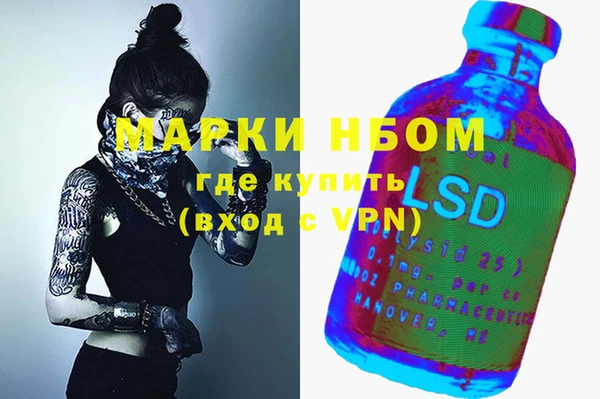 индика Верея