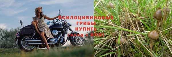 трава Верхнеуральск
