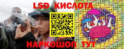 шишки Бердск