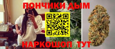 шишки Бердск