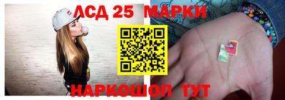шишки Бердск