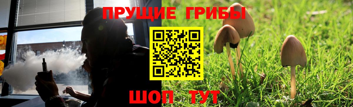 Галлюциногенные грибы мицелий  Вход с VPN  Псилоцибиновые грибы Psilocybe  где купить наркотик  Балашиха 
