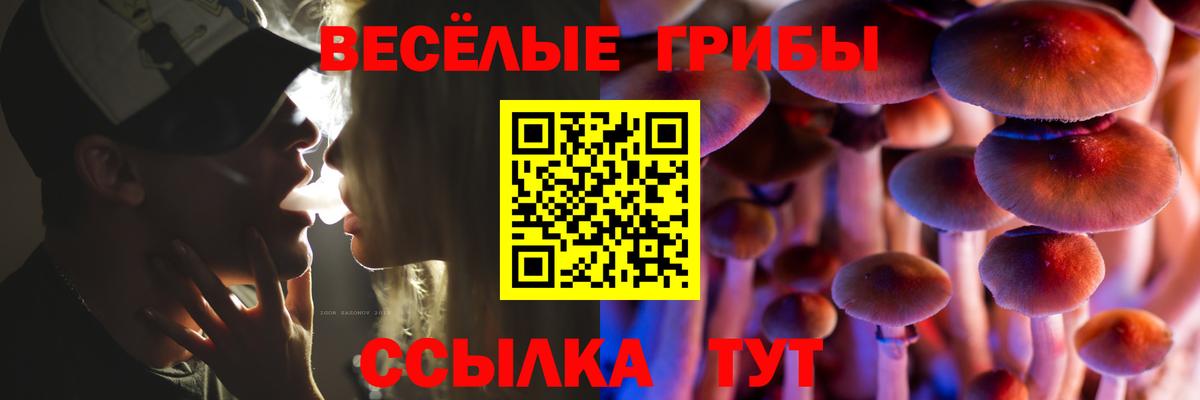 Псилоцибиновые грибы ЛСД Балашиха